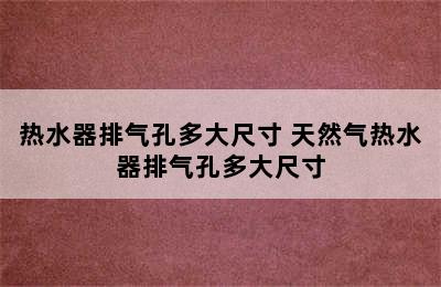 热水器排气孔多大尺寸 天然气热水器排气孔多大尺寸